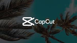 Money Trees CapCut Template: Enhancing Your Video Editing Experience