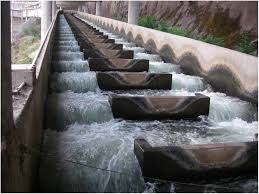 The Granite Falls Fish Ladder: A Wonders of Civil Engineering and an Asset to the Environment